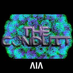 The Conduit : An Icosahedral Album